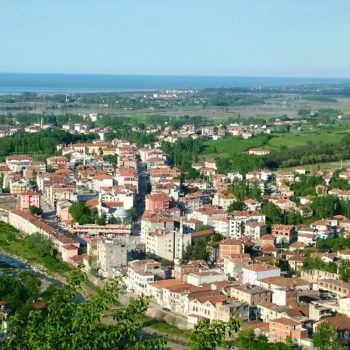 Alaçam Marka Tescili