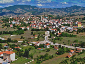 Asarcık Marka Tescili