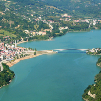 Ayvacık Marka Tescili